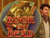 Book of Dead kostenlos spielen